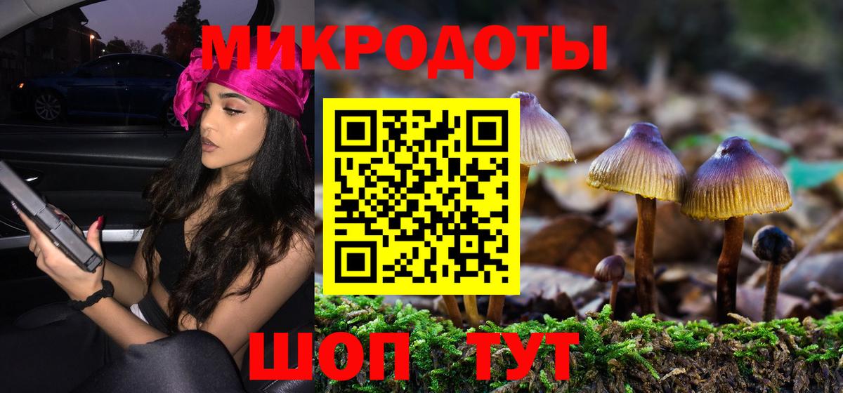 Галлюциногенные грибы GOLDEN TEACHER  Вход с VPN  Спасск-Дальний  наркотики  Псилоцибиновые грибы Magic Shrooms 